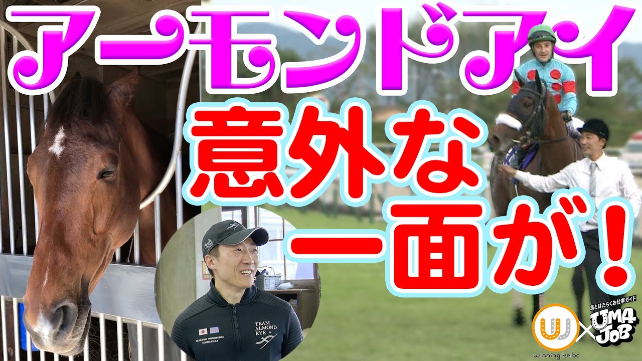 アーモンドアイの秘密！国枝厩舎の