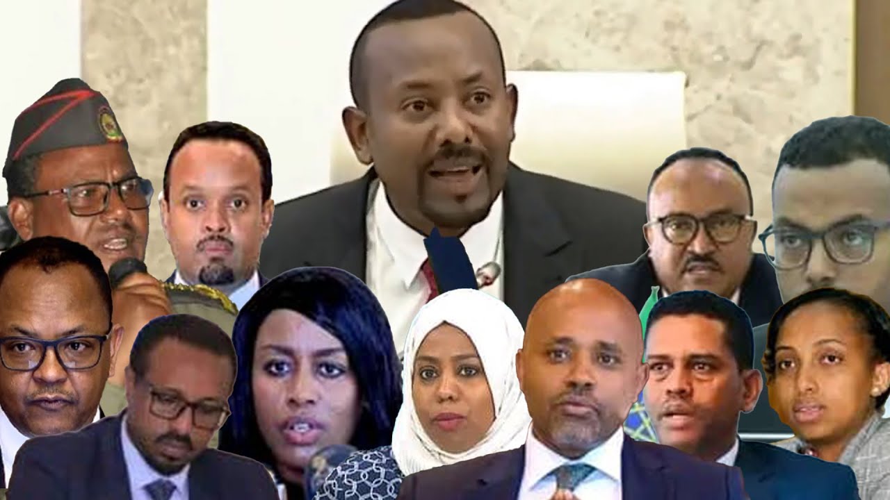 Anchor media የንብረት አዋጅ - መንግስታዊ ዘረፋ