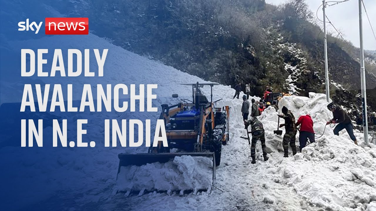 Himalayas: Avalanche kills seven tourists in north east India