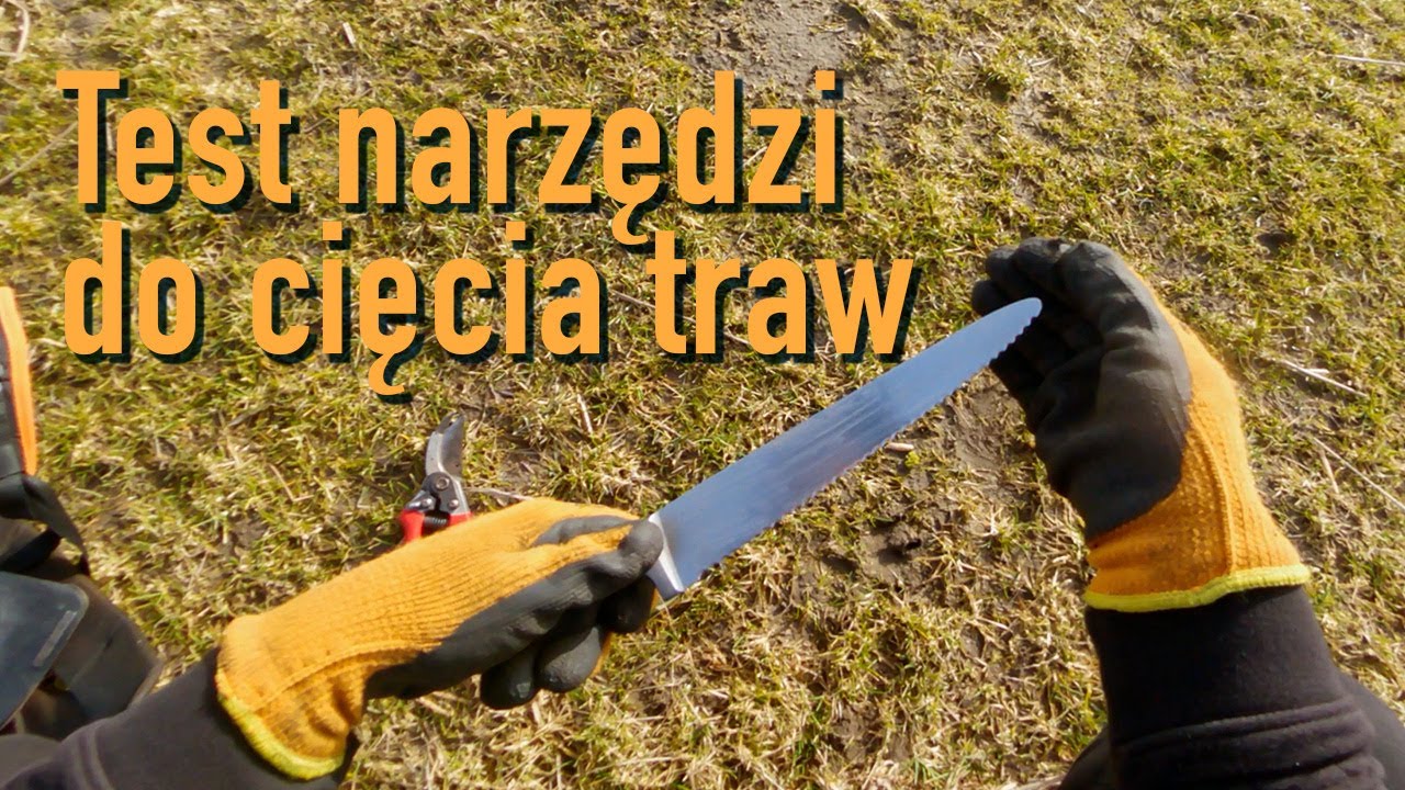 Cięcie traw ozdobnych wiosną! TEST NARZĘDZI 🪓✂️🔪