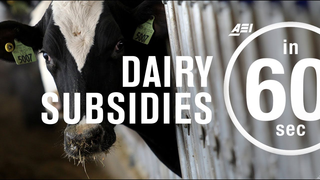 Dairy subsidies: Bad for business? | IN 60 SECONDS