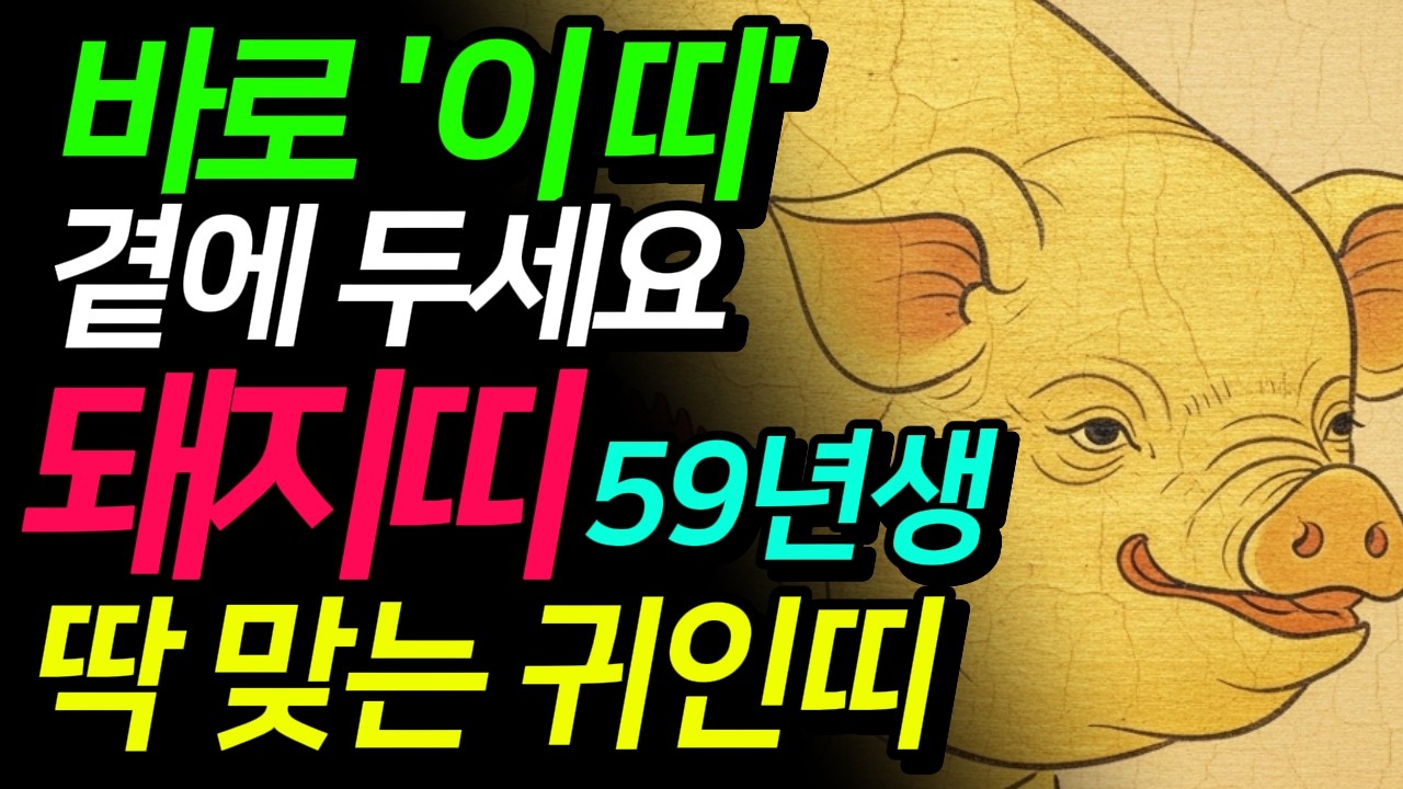(충격 반전) 59년 돼지띠 2026 반드시 '이 띠'를 옆에 두세요 고생한 기해생을 평안과 풍요로 채워줄 귀한 인연은?