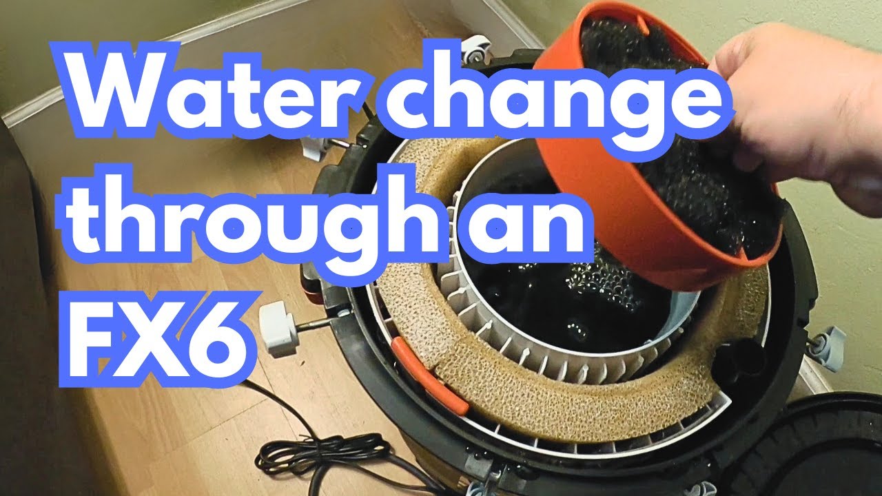 The Ultimate FX6 Water Change Guide