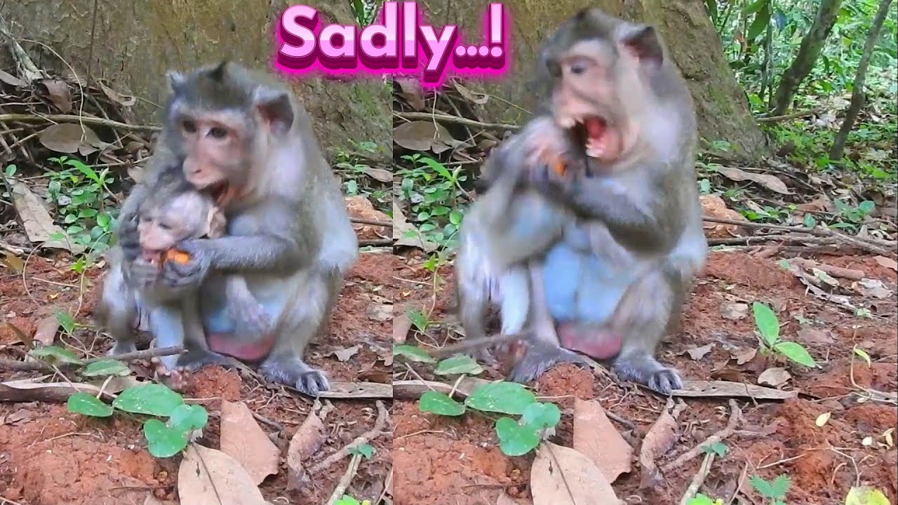 Unbelievable! Old Male Mother Is Really Irritated Cos Very Mischievous Intention...!