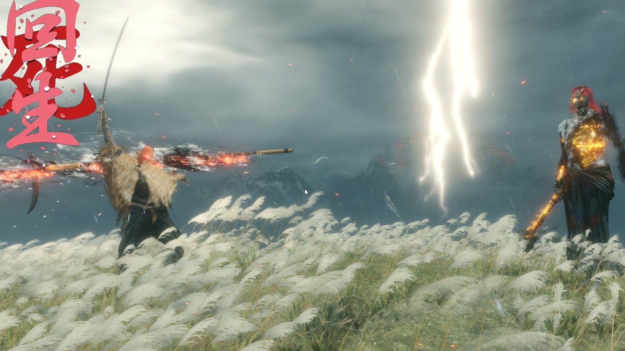 tengu vs radagon of the golden order