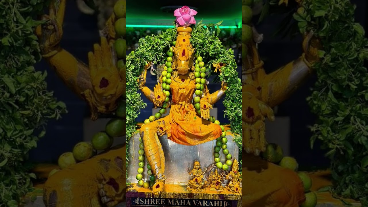 Vaarahi  12 namalu stotram #trending #varahidevi