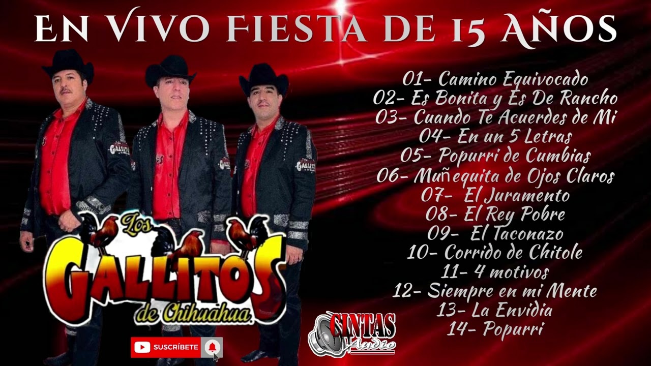 Gallitos de Chihuahua - Desde Los Mochis ( En Vivo 2022)