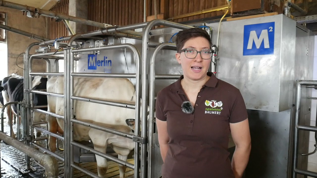 M²erlin Melkroboter: Betrieb Baumert
