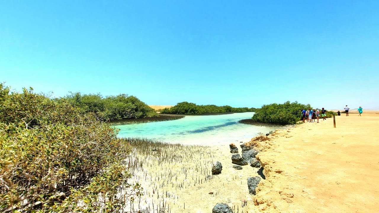 Ras Mohammed national park جوله كامله داخل محمية راس محمد بجنوب سيناء