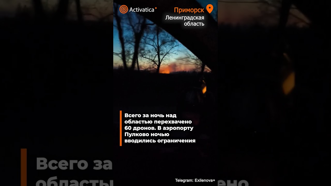 🟠The port of Primorsk was attacked in the Leningrad region #war #UAV #primorsk #port #leningradre...