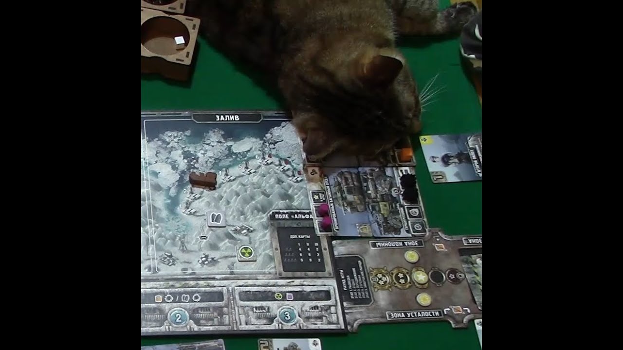 Играем в настольную игру 