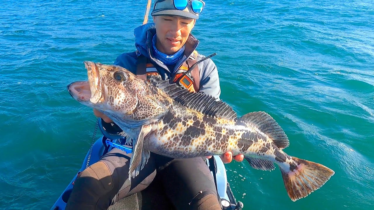 ЛУЧШИЙ СПОСОБ ПОПОЙМАТЬ ЛИНКОД НА ЖИВУЮ НАЖИВКУ