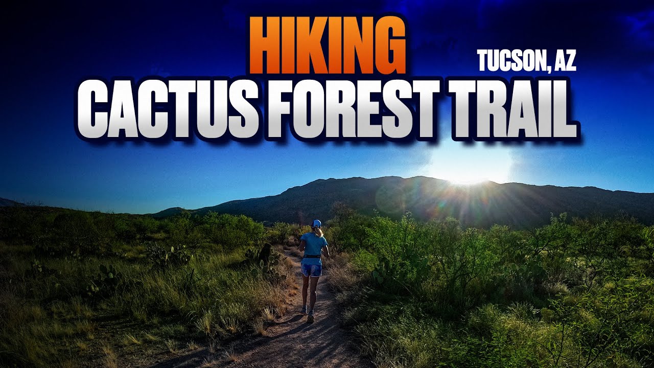 Hiking Cactus Forest Trail in Tucson Arizona