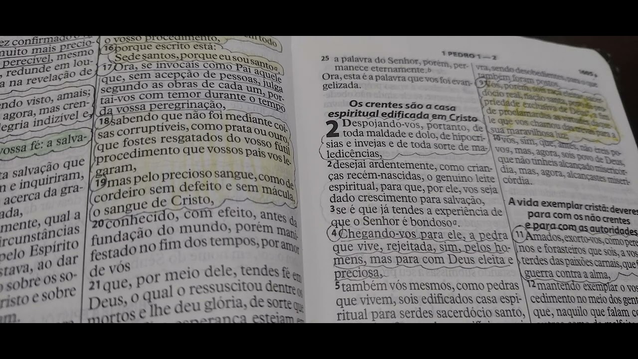 Processo regenerador...  🙄