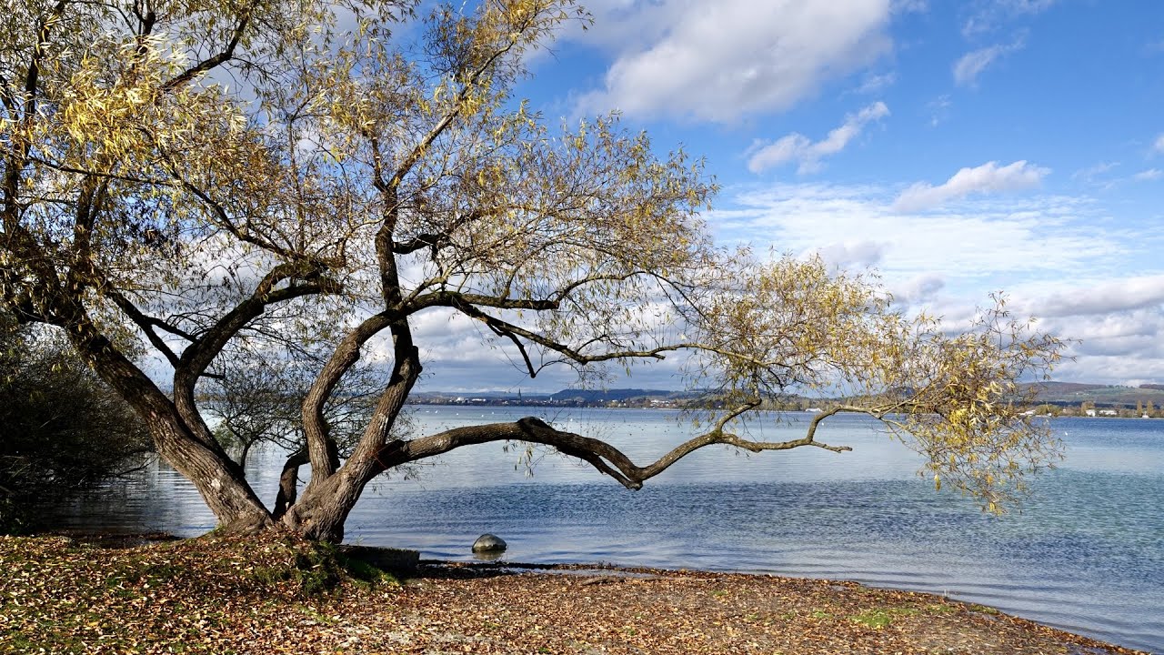 Umrundung Westteil des Bodensee
