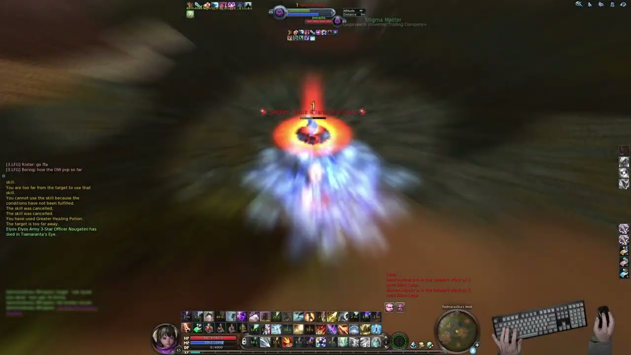[AD 4.6/NotEvenAion 4.8 | Sin/Sorc PvP] Pure natural gameplay — without any soft, macros or scripts
