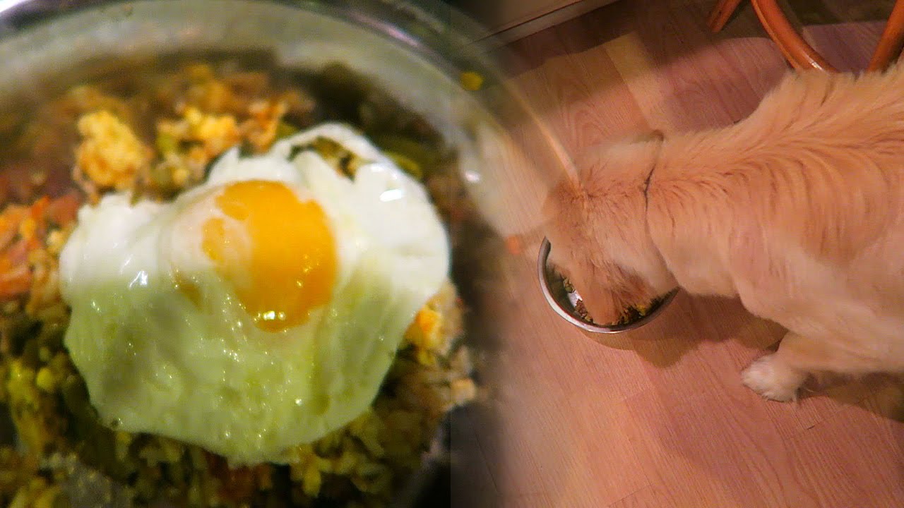 Making High Quality Homemade Dog Meals! (Super Cooper Sunday #32)