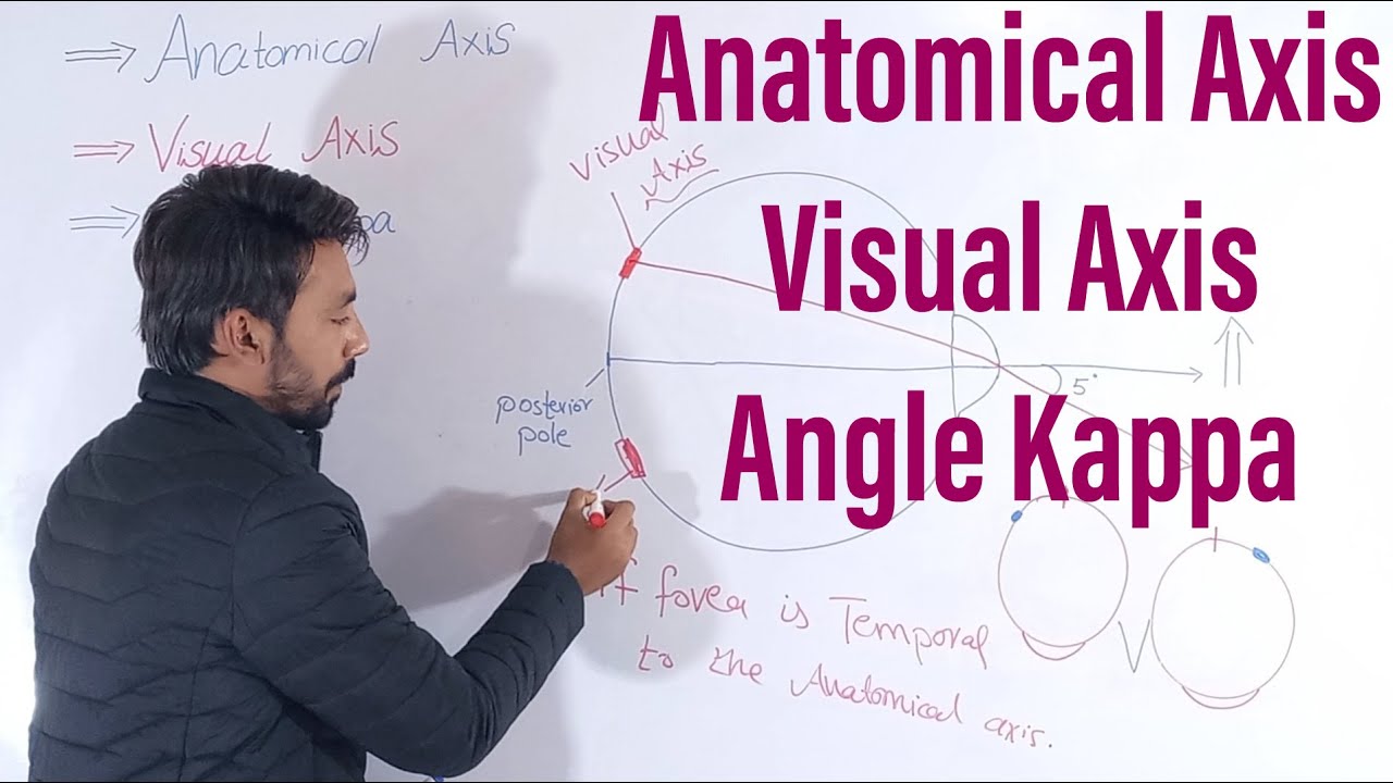 Anatomical Axis, Visual Axis and Angle kappa