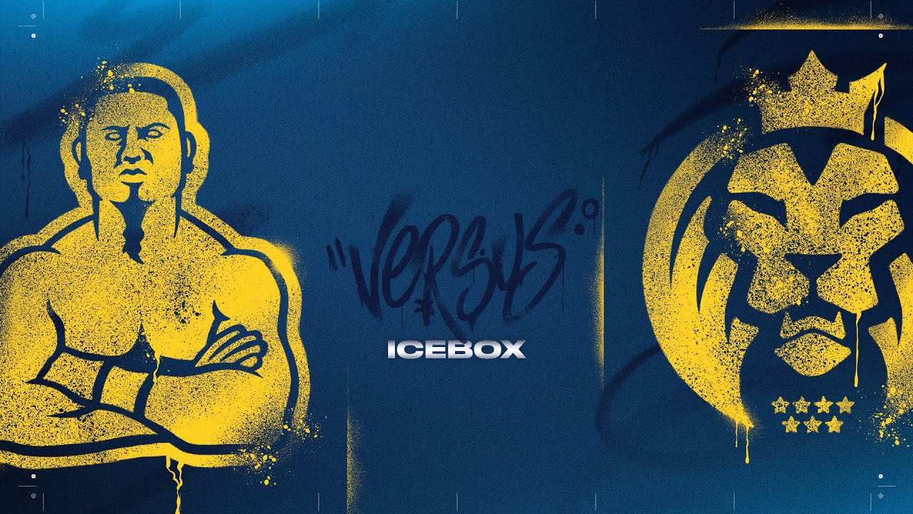 beGenius vs MAD Lions - Split 2 - Day 17 - Regional League France : Révolution