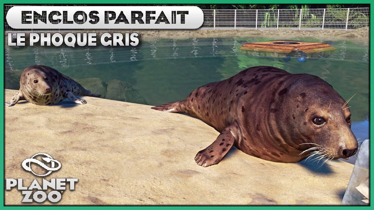 Le Phoque Gris (Bassin artificiel) | LES ENCLOS PARFAITS : EPISODE 75 | PLANET ZOO