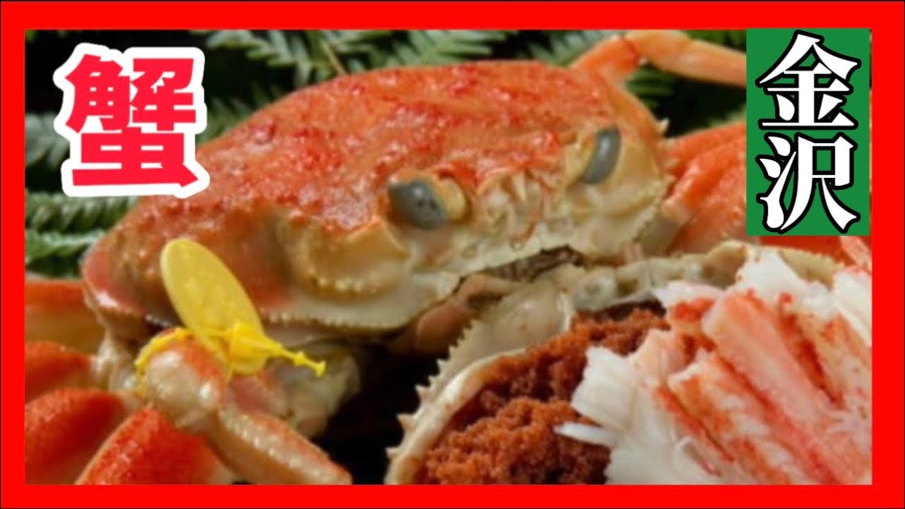 【蟹】行く前に見て‼︎‼︎‼︎🦀金沢🦀かに🦀金沢観光・近江町市場・スターバックス・金沢21世紀美術館