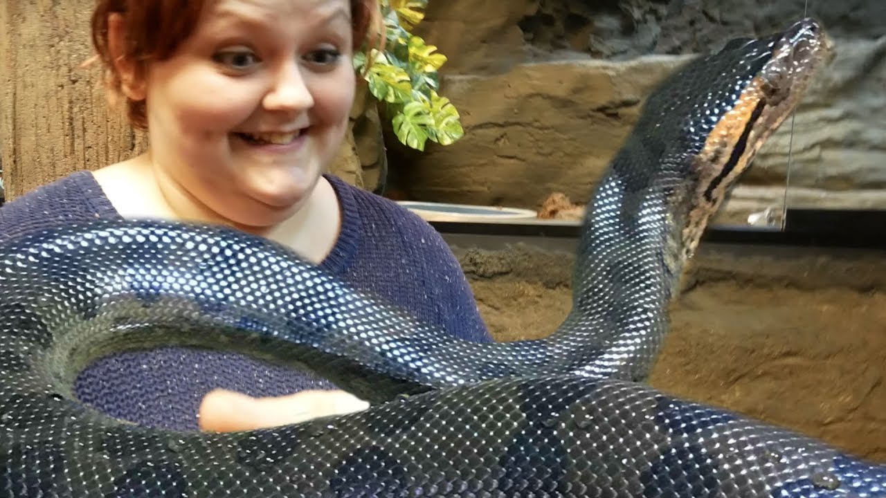 SHE FREAKED AND HELD MY ANACONDA!! REPTILE ZOOS BIGGEST DAY YET!!! | BRIAN BARCZYK