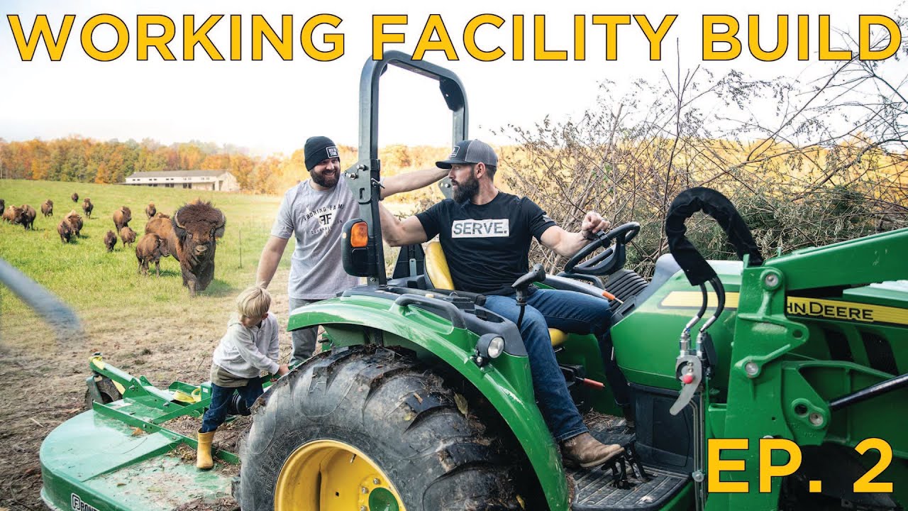 Building A Working Facility For Our Bison Farm  EP.2 // Adding 3 Bison BULLS To The Herd