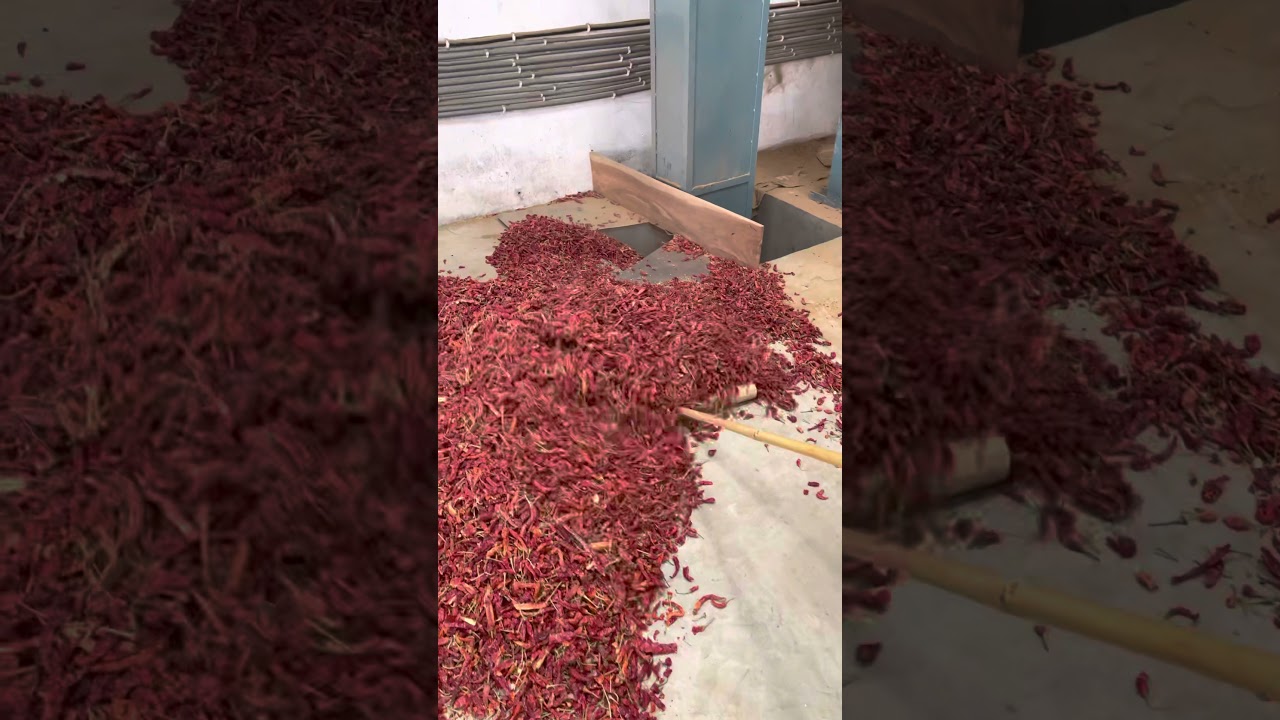 Chili grinding plant pulverizer made by perfect pulverizer 09714058877