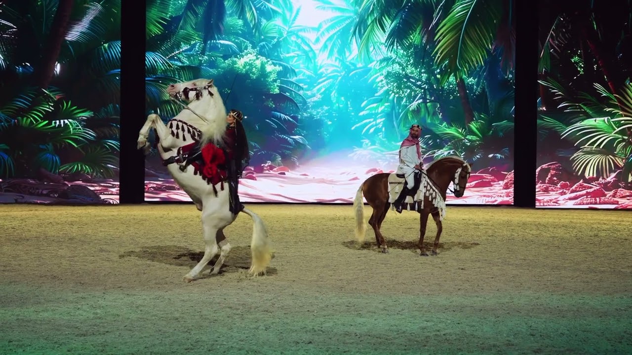 Asayel - 1 hour show - Saudi Arabia - Z7 SHOW HORSES - Selyne & Jeremy Gonzalez
