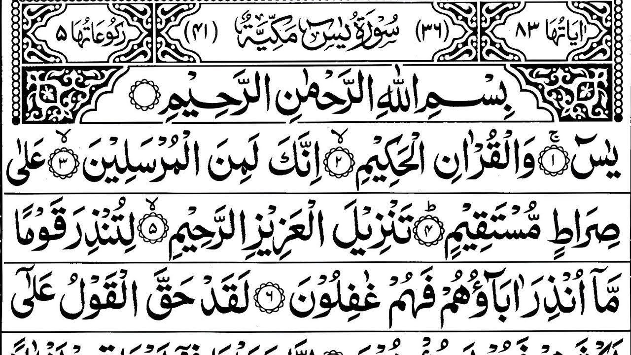 Surah Yaseen❤️Surah Yasin❤️Surah Rahman❤️Surah mulk❤️ Surah Muzammil❤️Surah Kahf❤️Yasin Quran❤️