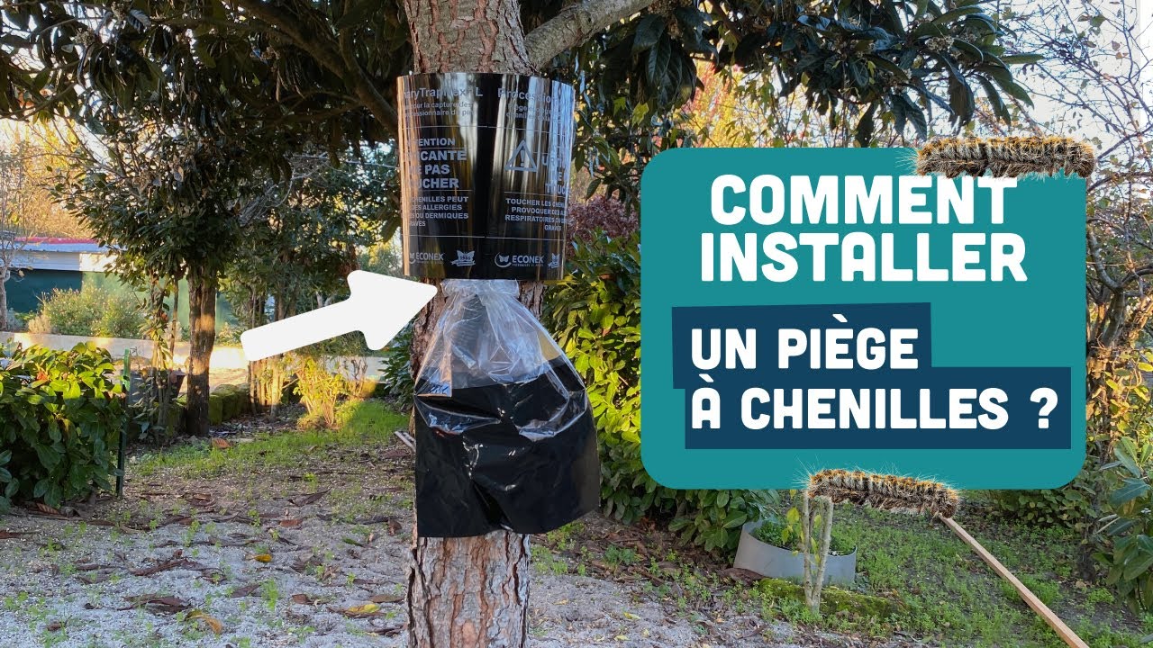 🐛 Installer un Pi&egrave;ge pour Chenille Processionnaires du Pin