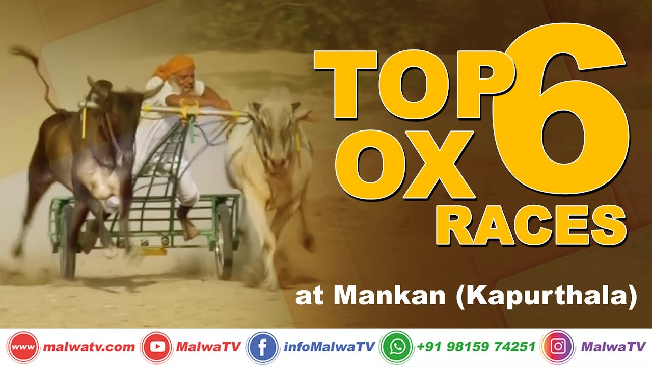 𝐓𝐎𝐏 𝟔 𝐎𝐗 𝐑𝐀𝐂𝐄𝐒 🔥 MANKAN (Kapurthala) OX RACES - ਬਲਦਾਂ ਦੀਆਂ ਦੌੜਾਂ 2020 🔥 MalwaTV