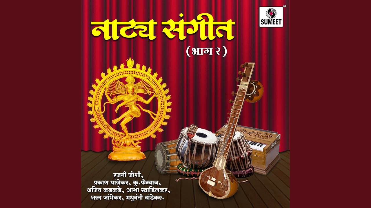 Divya Swatantrya Ravi