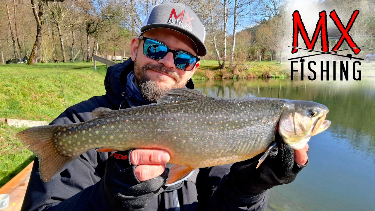 Выбор спиннинга для прудовой форели/ Как ловить прудовую форель?