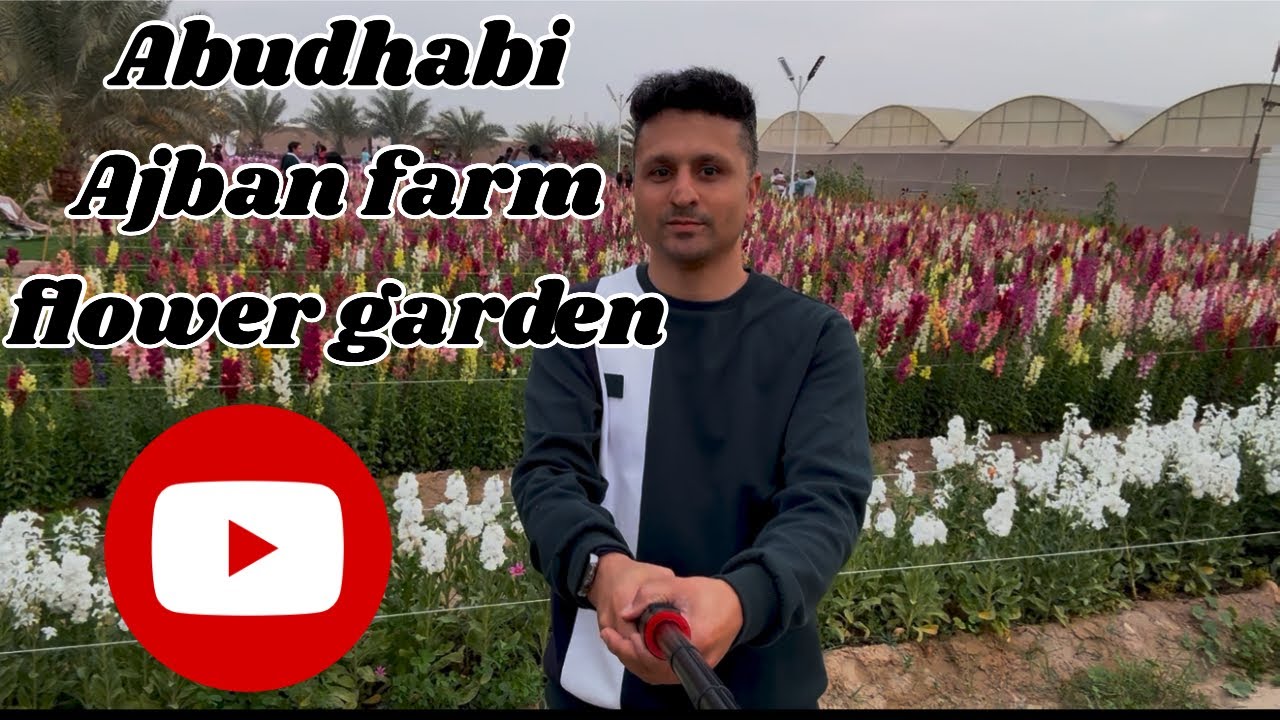 ABUDHABI AJBAN FARM 🌾FLOWER 🌸GARDEN🏡അബുദാബി ഫാം ഫ്ലവർ ഗാർഡൻ 