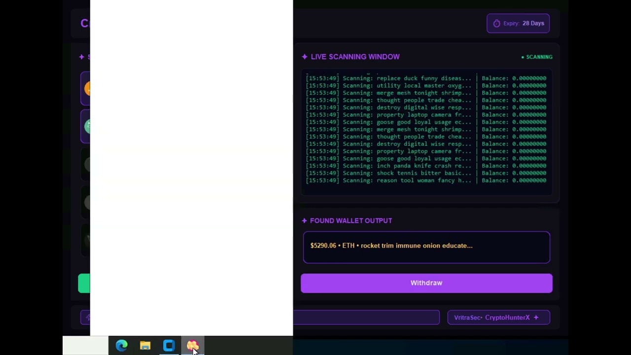 Crypto wallet finder find $5290 in a single day