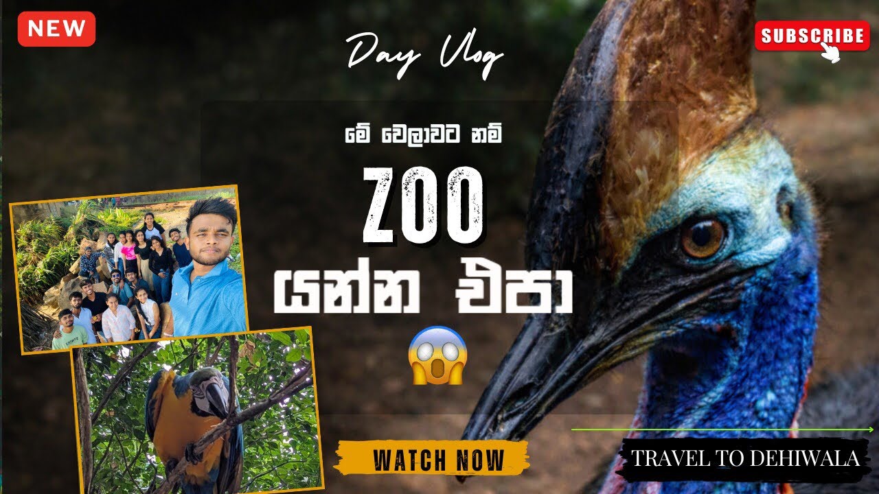 Dehiwala Zoo & Mount Lavinia (දෙහිවල සත්ත්වෝද්‍යානය ) #travel #animals #unilife #visitsrilanka 
