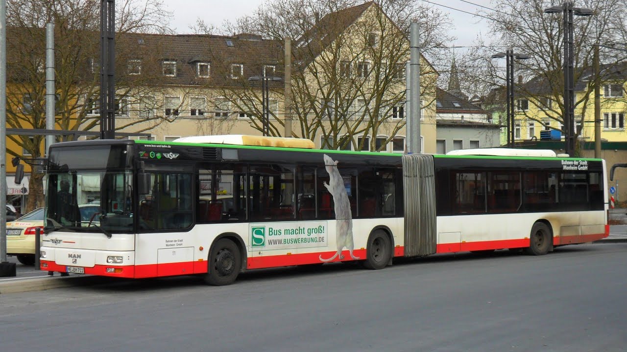 [Sound] Bus MAN NG 313 | #11 | Bahnen der Stadt Monheim GmbH, Monheim (Kreis Mettmann)