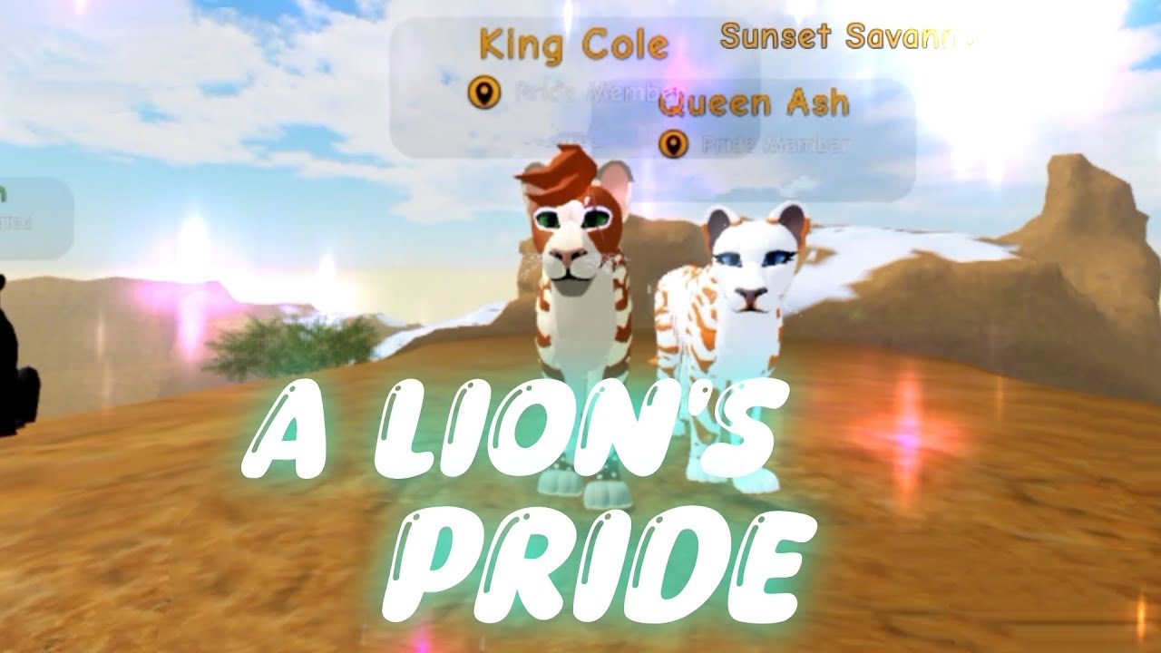 A Lion's Pride - The Story of four lion cubs