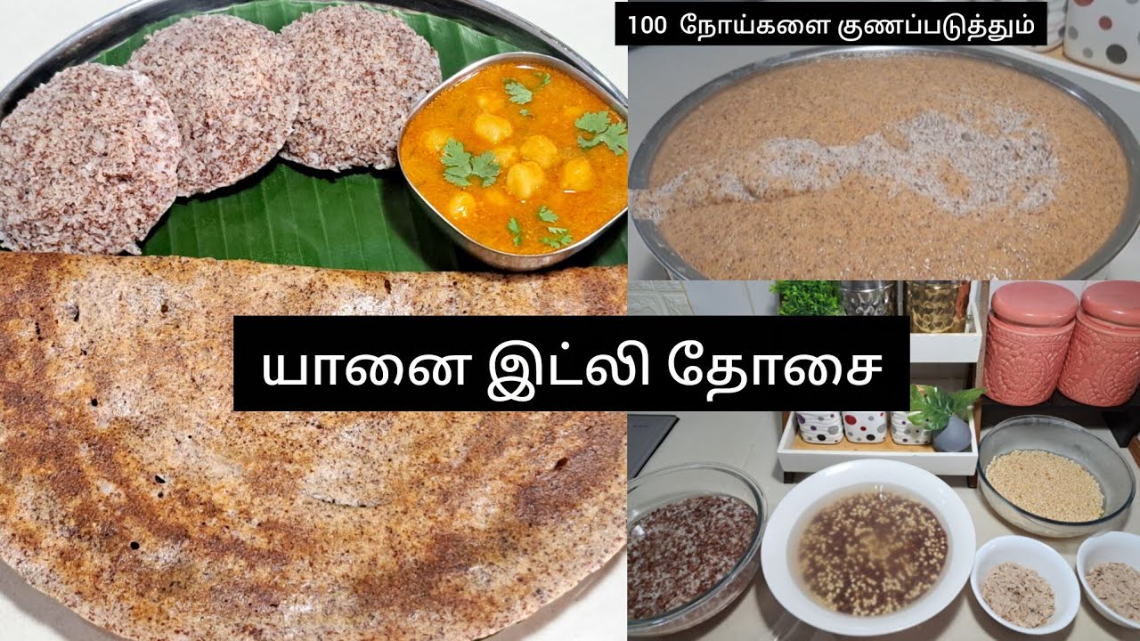 💥தமிழில்~12 tips for Millet idly dosai batter preparation in Tamil #home #healthy