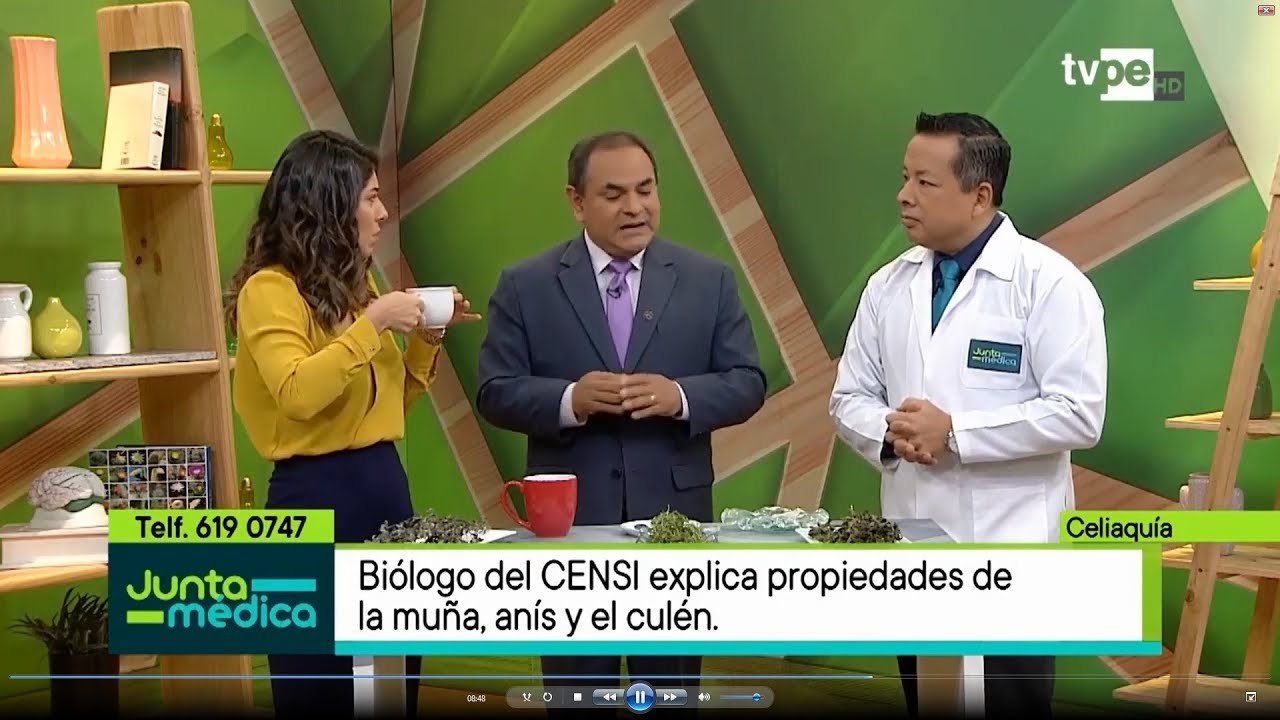 Propiedades medicinales del anís, culén y la muña (Junta Médica)