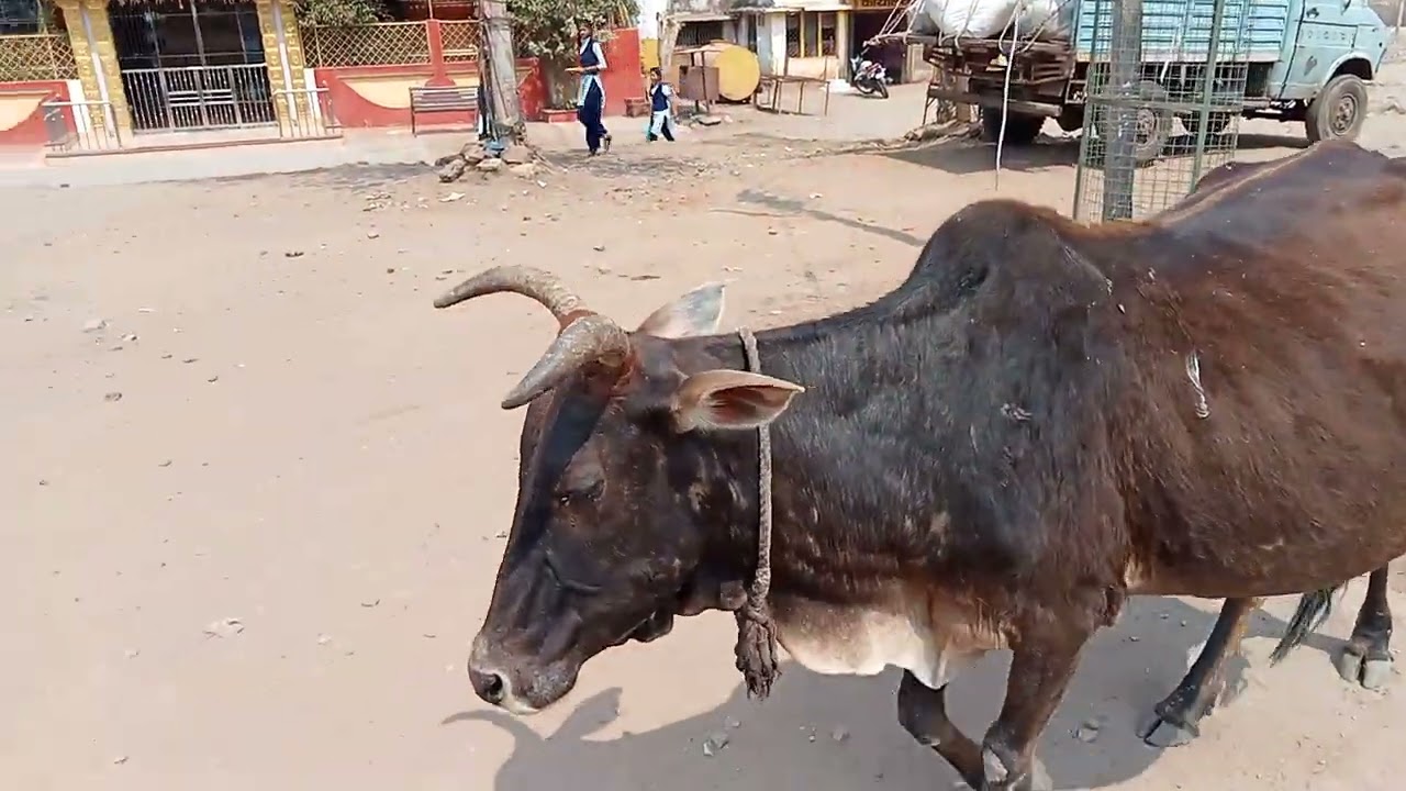 No 365 chhanera Jilla khandva (gittikhadan rampuri ashram se 9.0 km)