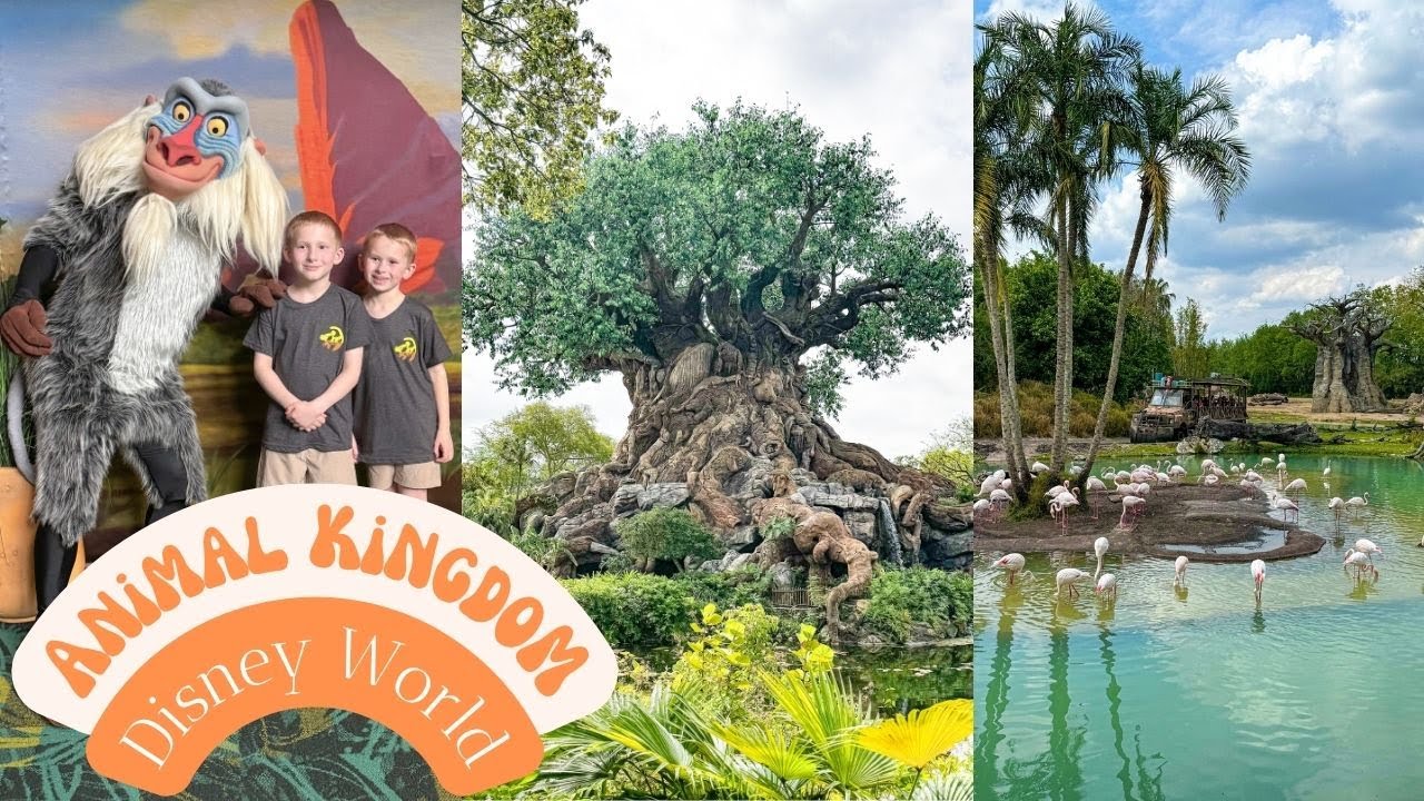 Disney's Animal Kingdom 2025 | With the Ventures Family