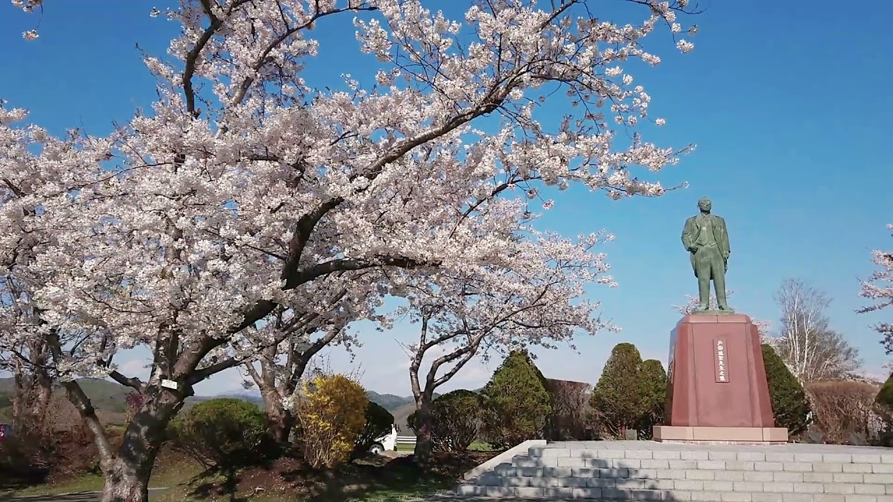戸田記念墓地公園 春の映像紹介