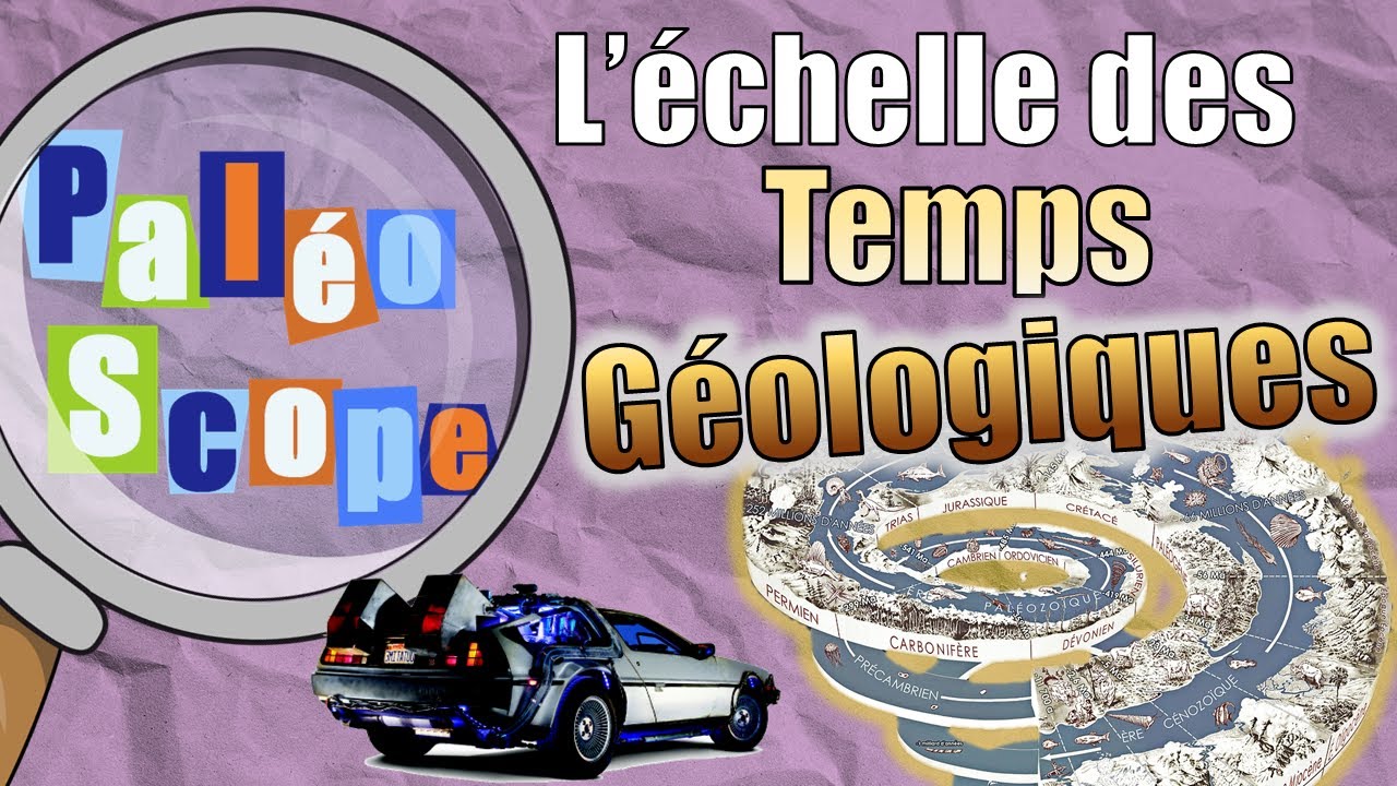 Retour vers le passé ! L'échelle des temps géologiques - PaléoScope #6