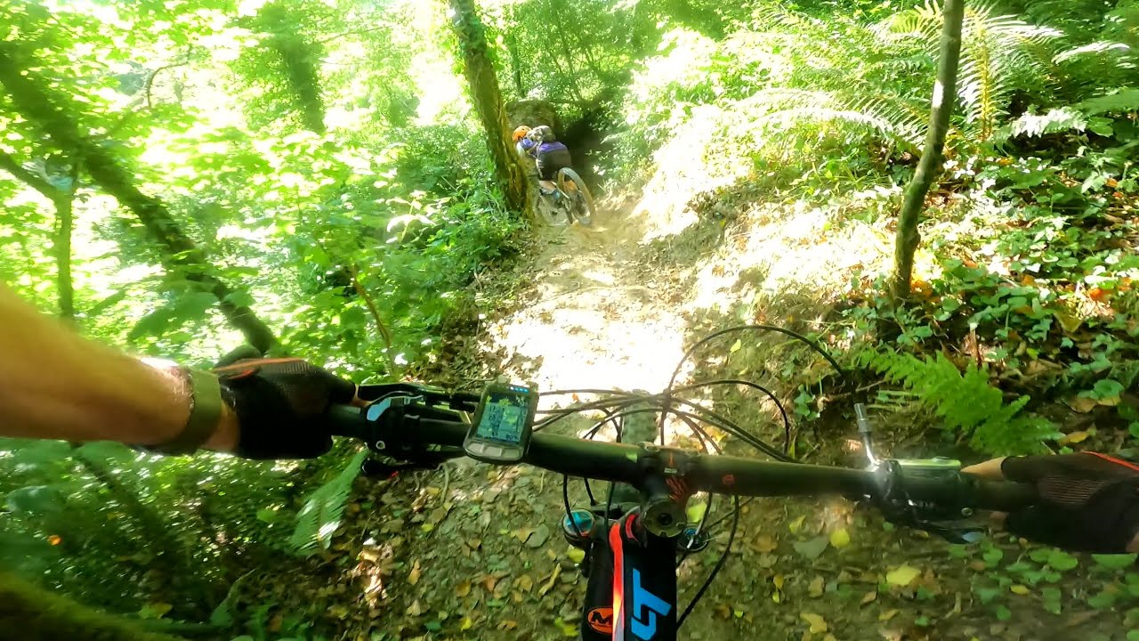 Llys-y-Fran MTB Trail Bash