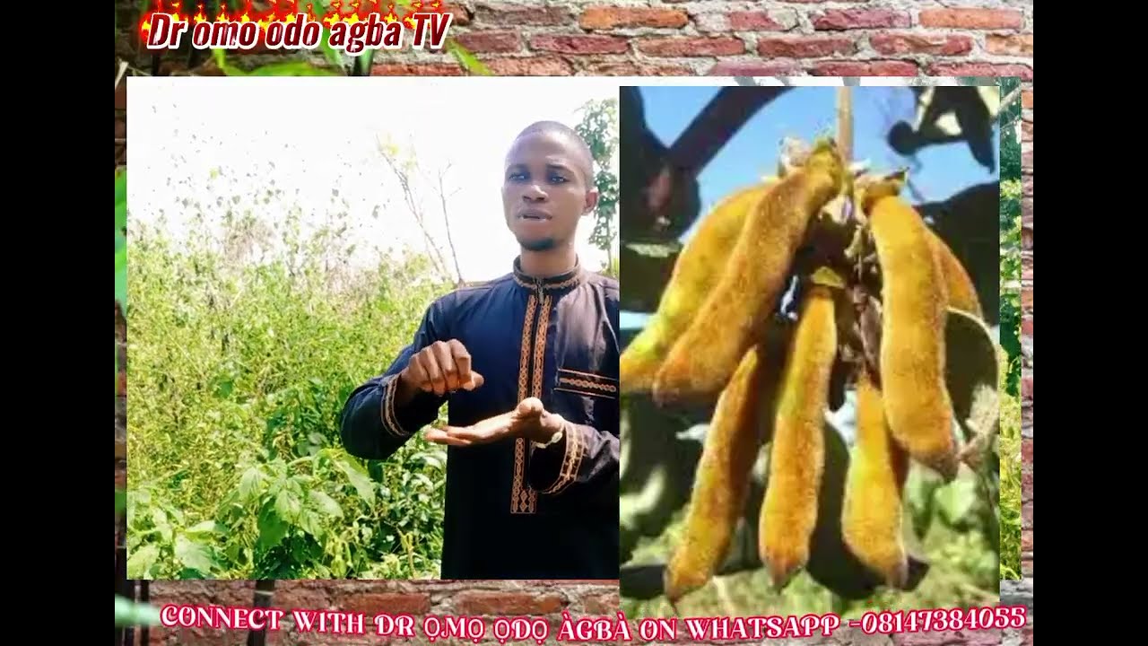 ÀṢÍRÍ ASOPỌ IFERAN obinrin ati okunrin 100% sure@Dromoodoagbatv#viral #lovespell #youtubechannel