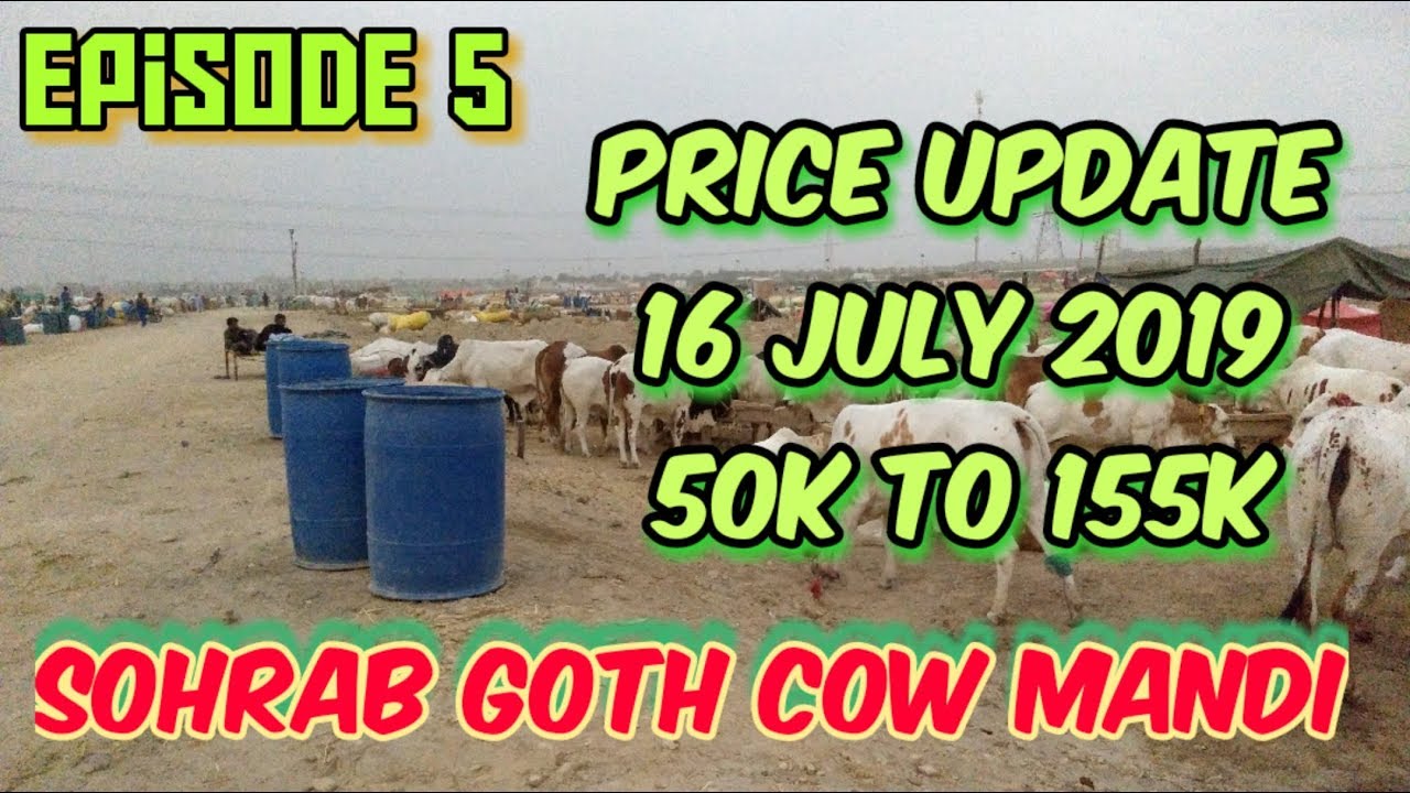 Cow Mandi Sohrab Goth price Update chote janwar | 16 July 2019 | Episode 5