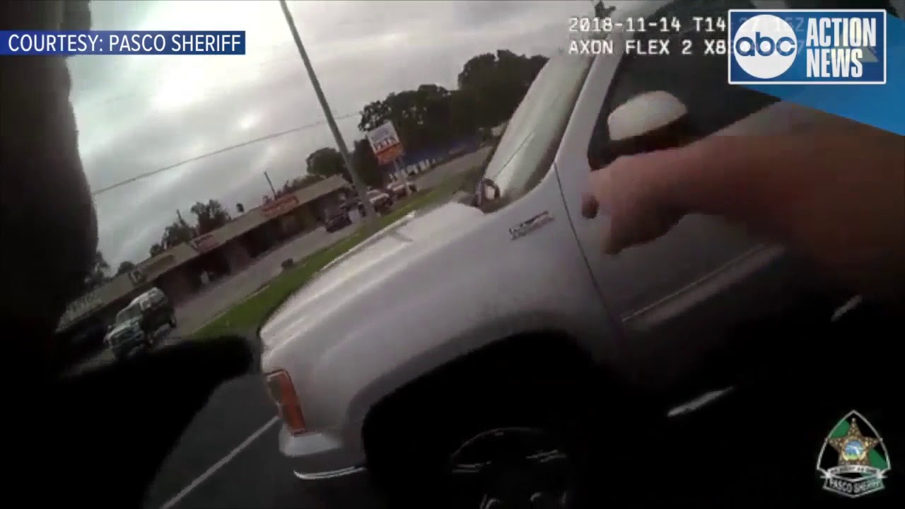 Pasco deputies cite drivers for passing stopped school bus on US 19