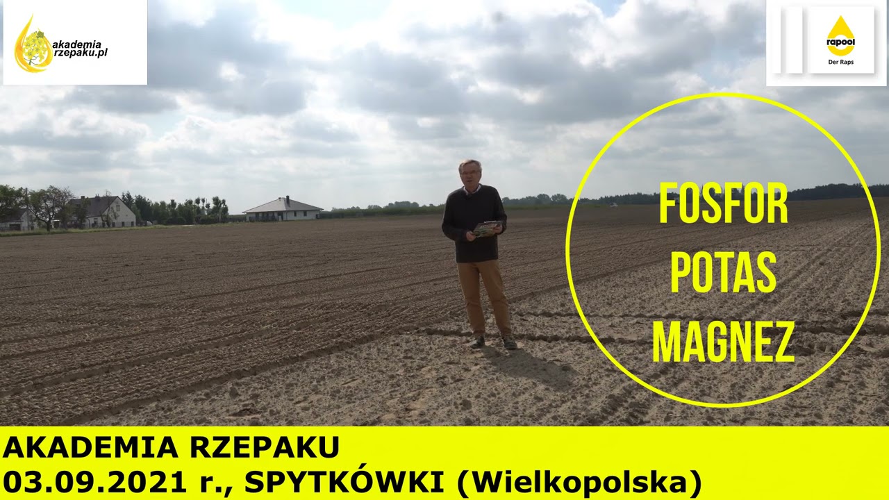 RZEPAK - AKADEMIA RZEPAKU - NAWOŻENIE RZEPAKU JESIENIĄ